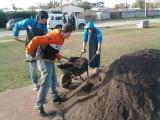 Tareas de mantenimiento en la Plaza del Caudillo
